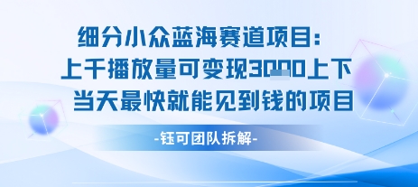 小众蓝海赛道项目：当天变现1k+适合新手操作 +适合长期玩-优品网赚资源库