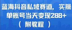 蓝海抖音私域赛道,实操单账号当天变现288+(附教程)-优品网赚资源库