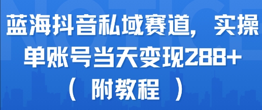蓝海抖音私域赛道，实操单账号当天变现288+(附教程)-优品网赚资源库