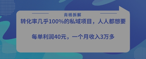 转化率最高的私域项目，每单利润40-50米，月入过1w-优品网赚资源库