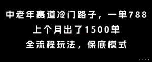 中老年赛道冷门路子，一单788，上个月出了1500单，全流程玩法，保底模式【揭秘】-优品网赚资源库