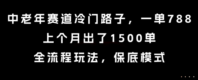 中老年赛道冷门路子，一单788，上个月出了1500单，全流程玩法，保底模式【揭秘】-优品网赚资源库