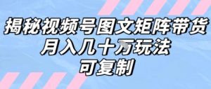 解密视频号图文矩阵带货,月入几个W的打法,可复制-优品网赚资源库