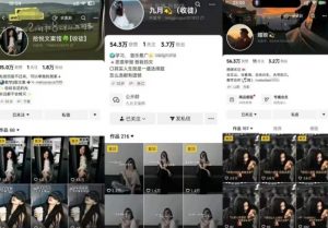 抖音图文文案赛道新玩法，快速养号起号，广告收益分成+橱窗带货+教学收徒等-优品网赚资源库