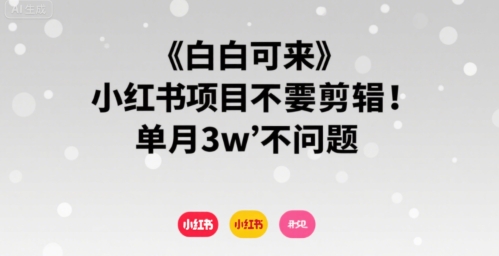 小白可来 小红书项目不需要剪辑 单月3w不是问题-优品网赚资源库