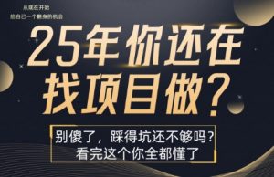 25年,你还在疯狂的找项目吗?别傻了,看完这个你都懂了【揭秘】-优品网赚资源库
