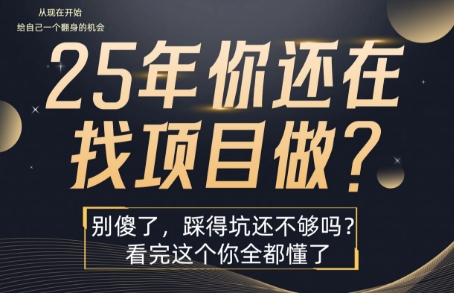 25年,你还在疯狂的找项目吗?别傻了,看完这个你都懂了【揭秘】-优品网赚资源库