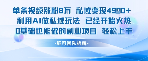 单条视频私域变现4.9k+利用AI做私域玩法 已经开始火热0基础也能做的副业项目轻松上手-优品网赚资源库