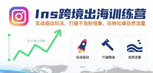 Ins跨境出海训练营，实战驱动玩法，打破不涨粉怪象，玩转社媒自然流量-优品网赚资源库