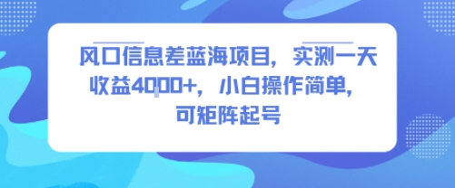风口信息差蓝海项目，实测一天收益4k+，小白操作简单，可矩阵起号-优品网赚资源库