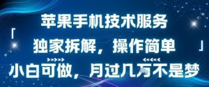 苹果手机技术服务，独家拆解，操作简单，小白可做，月过1W不是梦-优品网赚资源库