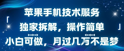 苹果手机技术服务，独家拆解，操作简单，小白可做，月过1W不是梦-优品网赚资源库