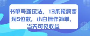 书单号新玩法，13条视频变现5位数，小白操作简单，当天可见收益-优品网赚资源库