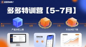 多多特训营【5-7月】产品决定上限，方法决定下限，各种玩法技巧落地实操-优品网赚资源库