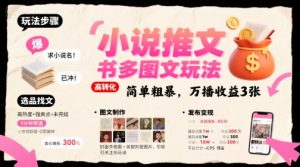 小说推文小红书多图文玩法，简单粗暴，万播收益3张-优品网赚资源库