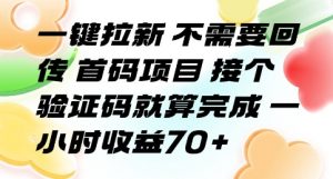 一键拉新 不需要回传 首码项目 接个验证码就算完成 一小时收益70+【揭秘】-优品网赚资源库