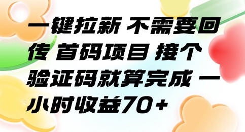 一键拉新 不需要回传 首码项目 接个验证码就算完成 一小时收益70+【揭秘】-优品网赚资源库