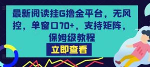最新阅读挂G撸金平台，无风控，单窗口70+，支持矩阵，保姆级教程【揭秘】-优品网赚资源库