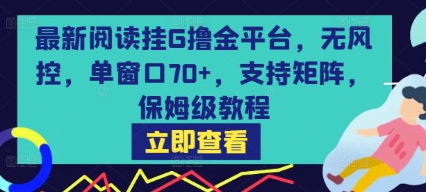 最新阅读挂G撸金平台，无风控，单窗口70+，支持矩阵，保姆级教程【揭秘】-优品网赚资源库