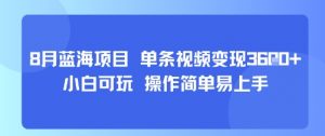 8月AI蓝海项目，单条视频变现1k+ 小白可玩 操作简单易上手-优品网赚资源库