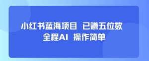 小红书蓝海项目，全程AI，操作简单，已挣五位数-优品网赚资源库