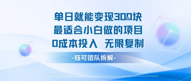 单日就能变现3张最适合小白做的项目0成本投入 无限复制-优品网赚资源库