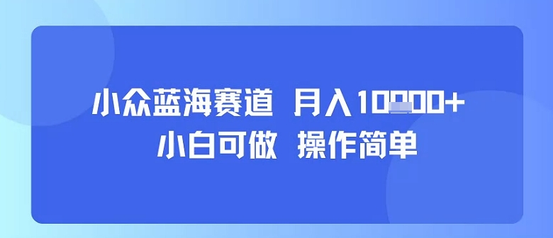 小众蓝海赛道，小白可做，操作简单，每天30分钟，月入1W+-优品网赚资源库