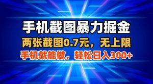 手机截图暴力掘金，两张截图0.7米，一部手机就能做，轻松日入3张+【揭秘】-优品网赚资源库