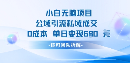 小白无脑项目公域引流私域成交0成本单日变现680米-优品网赚资源库