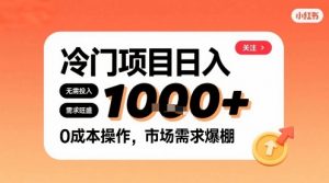 在小红书上发现个冷门路子，需求不小，零成本操作，每天能有1k进账-优品网赚资源库