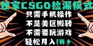 CSGO自动捡漏项目,最新独家玩法,不是美区搬砖,不需要了解和玩游戏,新手小白轻松月入1W+【揭秘】-优品网赚资源库