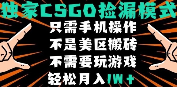 CSGO自动捡漏项目,最新独家玩法,不是美区搬砖,不需要了解和玩游戏,新手小白轻松月入1W+【揭秘】-优品网赚资源库