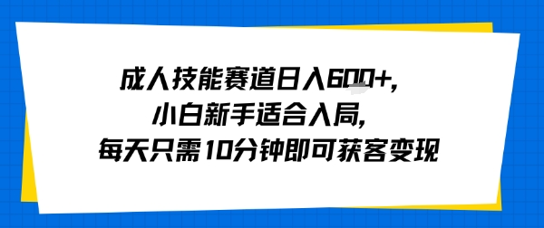 成人技能赛道日入多张，小白新手适合入局，每天只需10分钟即可获客变现-优品网赚资源库
