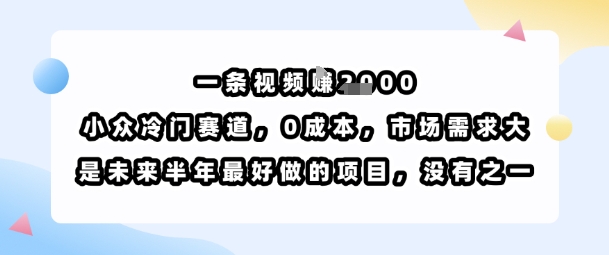 一条视频挣1k，小众冷门赛道，0成本，市场需求大，是未来半年最好做的项目，没有之一-优品网赚资源库