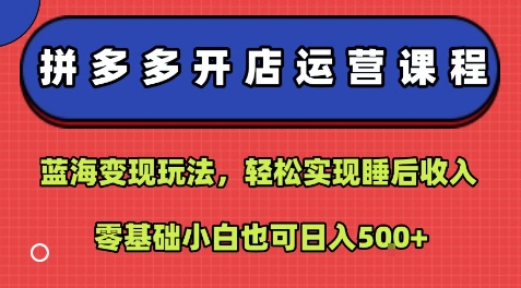拼多多开店运营课程：蓝海变现玩法，轻松实现睡后收入，零基础小白也可日入5张-优品网赚资源库