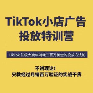 TikTok小店广告投放特训营，6天破局计划专治各种“投不动”，教你经过月销百万验证的实战干货-优品网赚资源库