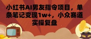 小红书AI男友指令项目,单条笔记变现1w+,小众赛道实操复盘-优品网赚资源库