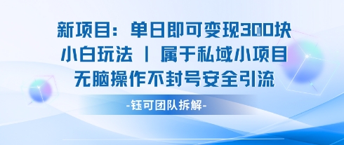 新项目单日即可变现3张的小白玩法无脑操作不封号安全引流-优品网赚资源库
