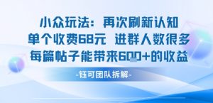 小众玩法再次刷新认知单个收费68米进群人数很多每篇帖子能带来6张的收益-优品网赚资源库