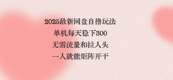2025最新网盘自撸玩法,单机每天稳下3张,无需流量和拉人头,一个人就可轻松矩阵,全网独一份【揭秘】-优品网赚资源库