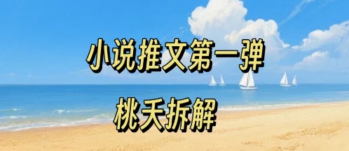 小说推文项目操作全流程第一弹，0粉就能做，门槛低非常适合新手-优品网赚资源库