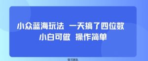小众蓝海玩法 一天搞了四位数 小白可做 操作简单-优品网赚资源库