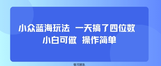 小众蓝海玩法 一天搞了四位数 小白可做 操作简单-优品网赚资源库