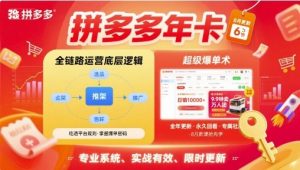 拼多多年卡【8月更新6节】拼多多全链路运营底层逻辑,超级爆单术-优品网赚资源库