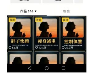 超高变现的短视频减肥细分赛道，减肥账号抖音实战训练营-优品网赚资源库