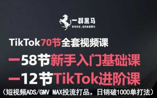 TikTok全套视频课,新手入门+进阶课,短视频ADS-GMV MAX投流打品,日销破1000单打法-优品网赚资源库