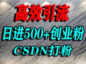 怎么打创业粉？CSDN又一个你不知道的打粉引流神秘平台，单人日引500+精准流量-优品网赚资源库