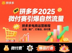 拼多多2025微付赛引爆自然流量,拼多多电商运营教程,运营、推广、打爆品、微付费-优品网赚资源库