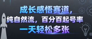 成长感悟赛道，纯自然流，百分百起号率 一天轻松多张-优品网赚资源库