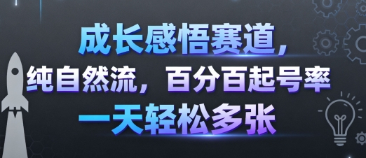 成长感悟赛道,纯自然流,百分百起号率 一天轻松多张-优品网赚资源库